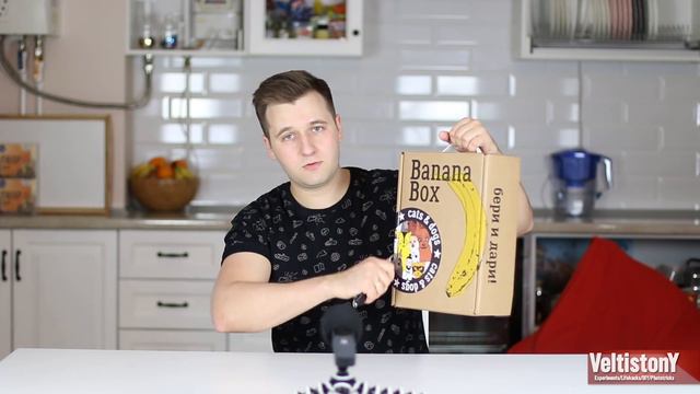 21 карта / Самый простой фокус + Анбоксинг с кошкой смотреть онлайн