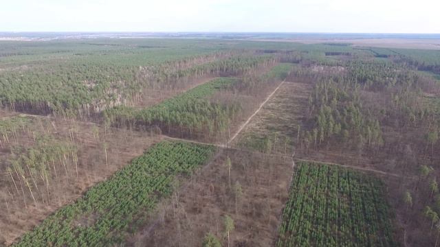 Вирубки у заказнику "Дзвінківський" смотреть онлайн