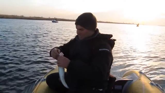 Ловля судака в Дельте Днепра смотреть онлайн