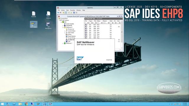 SAP IDES EHP8 on MS SQL and VMware Download 2019 SAP Training ERPVideos.com смотреть онлайн