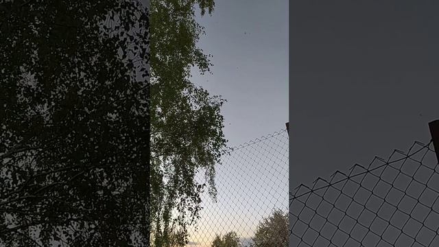 Массовый вылет Майского Жука смотреть онлайн
