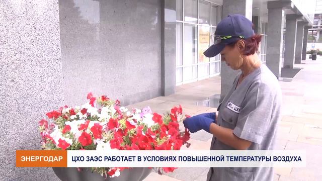 Работа ЦХО в условиях повышенной температуры смотреть онлайн