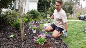 Planting Supertunia Vista Jazzberry and Mini Vista Indigo from Proven Winners | Gardener in Love