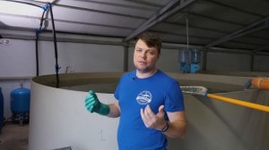 Белуга в УЗВ. Рост за 8 месяцев