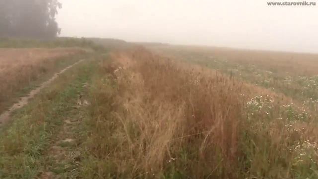 ПОИСК МОНЕТ И КЛАДОВ ЗОЛОТА И СТАРИНЫ СЕРЕБРЯНЫЙ РАССВЕТ SEARCH COIN HOARDS AND GOLD смотреть онлайн