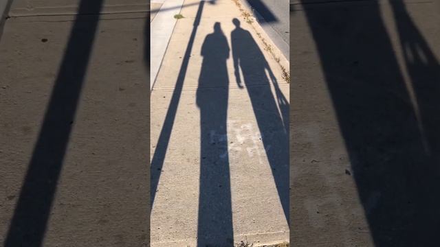 Всегда красивые и длинноногие смотреть онлайн