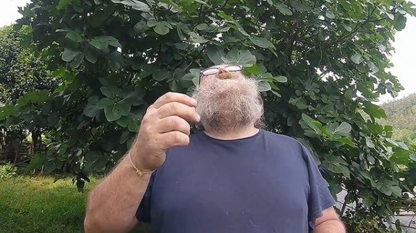 ? Drip or Drop - Drip Meaning - Drop Examples - Difference between Drip and Drop