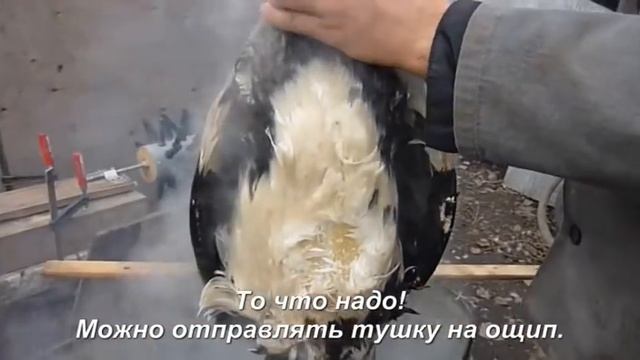 гусь4 1 смотреть онлайн