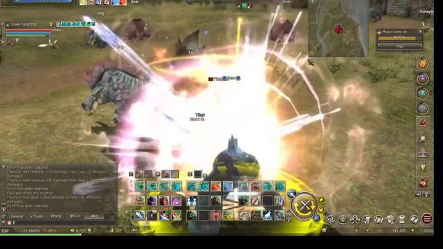 Lineage 2 Essence -Bee Hive up Titam + Pet смотреть онлайн