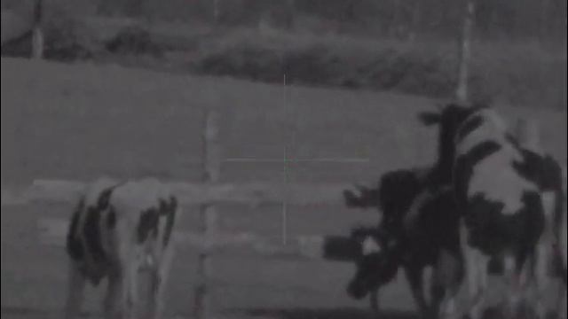 Охота на Волка Цифровой прицел Digisight Ultra N355 часть3 смотреть онлайн