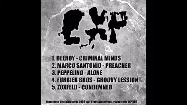 Furrier Bros - Groovy Lesson смотреть онлайн