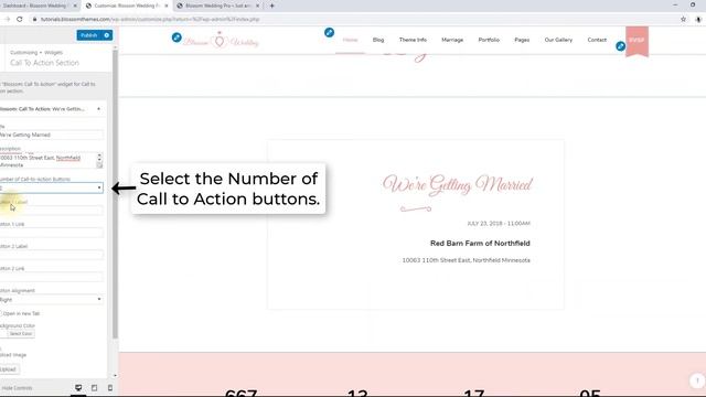 How to Configure Call To Action Section on homepage | Blossom Wedding Pro WordPress Theme смотреть онлайн