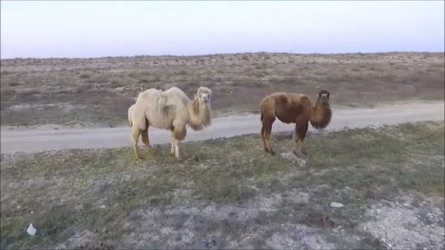 Как Сделать с Креативностью