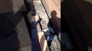 ? Подъём бани, замена фундамента и венцов.