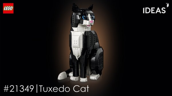 LEGO Ideas - Tuxedo Cat (Кот в смокинге) 21349