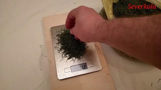 Сколько ШТУК иголок на ёлке ? Новый Год это и праздник и интересная информация :) смотреть онлайн