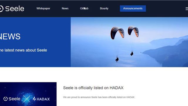 Обзор проекта Seele (Достоинства, блокчейн 4.0)