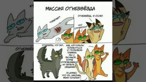 Коты воители мемы
