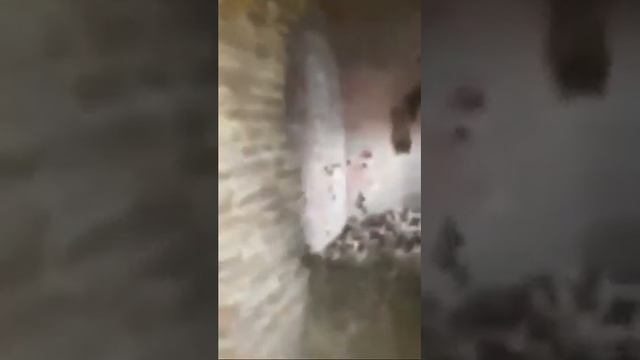 Бобруйская Крепость смотреть онлайн