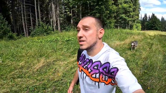 ПОТЕРЯЛАСЬ СОБАКА МАЛАМУТ ЛЕКСИ в КАРПАТАХ ! смотреть онлайн