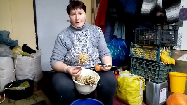 Как избавить кур от расклева (каннибализма) и улучшить их оперение. смотреть онлайн