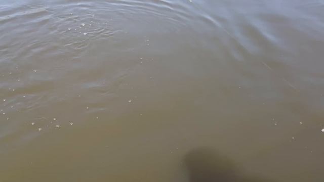 Рыбалка на Десне смотреть онлайн