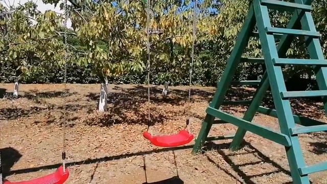 Будни Светика🤗Влог🌷Обзоры территории🌴Завтрака на море☕Хорватия 26.08.21 #буднисветика #влог #отпуск смотреть онлайн