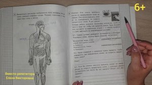 ВПР по окружающему миру в 4 классе, вариант 20