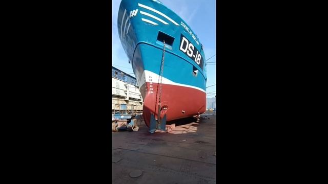 Постановка, ремонт, выход судна из дока / Setting, repair, exit of the vessel from the dock смотреть онлайн