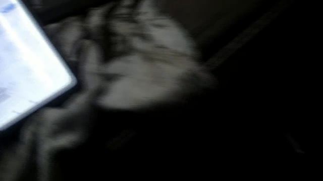 Ремонтный Вдохновение