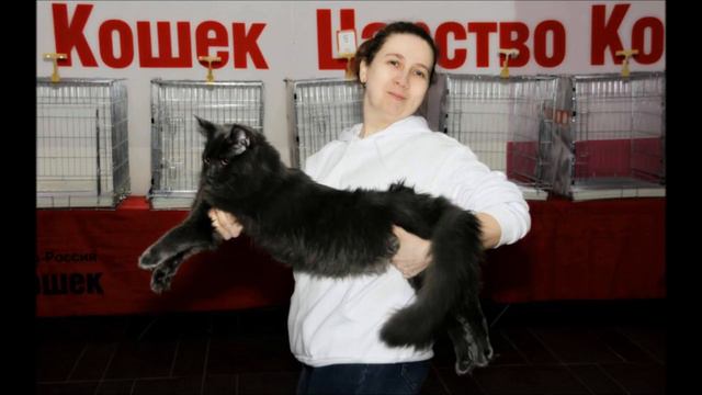 Светик , с днём рождения тебя , моя дорогая ! смотреть онлайн