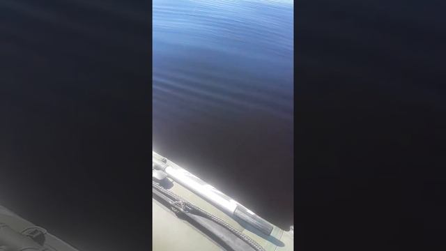 Ладога смотреть онлайн