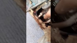 Тойота Ипсум заглох в дороге. Пошагово ищем причину.