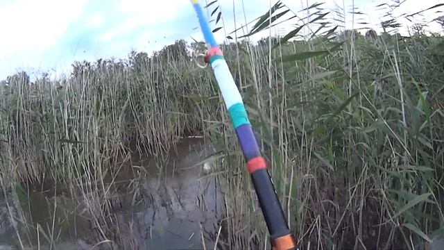 ЛОВЛЯ ХИТРОГО КАРПА смотреть онлайн