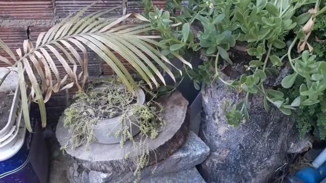 FIZEMOS O ALICERCE DA CASA, ATERRO DO TERRENO, CONSTRUIMOS O MURO E PAREDES - DIÁRIO DA CONSTRUÇÃO смотреть онлайн