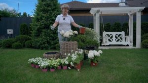 Сад с нуля Контейнерное озеленение.