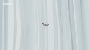 Love is in the airㅣSEALOOKㅣEP.6 #christmas