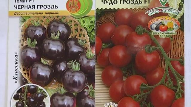 Дачные хитрости или полезные советы смотреть онлайн