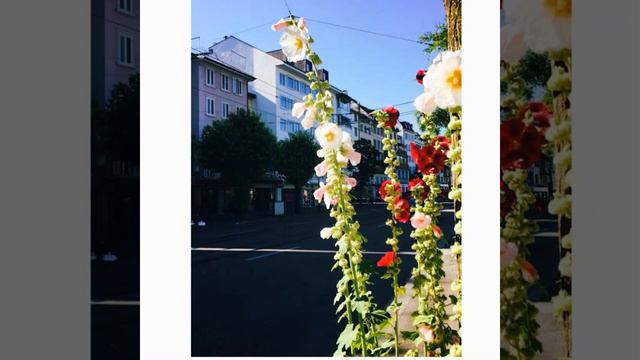 パンフルート曲Tachiaoi / Holly hock comosed by Fumiko SAKURAOKA for Pan flute /JAPONAIS 「立葵」櫻岡史子 смотреть онлайн