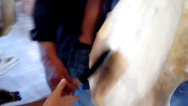 Самый первый музыкальный инструмент. смотреть онлайн