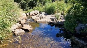 Водопад Чердымские Камни в деревне Михайловка Новобурасского района Саратовской области