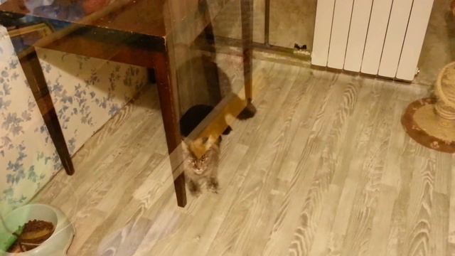 Вязка 18.10.14 смотреть онлайн