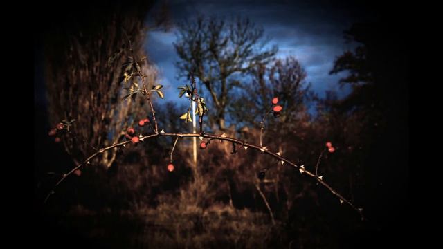 WHERE THE WILD ROSES GROW / NICK CAVE / cover JH смотреть онлайн