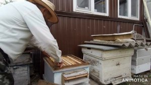 Расширение гнезда вторым корпусом