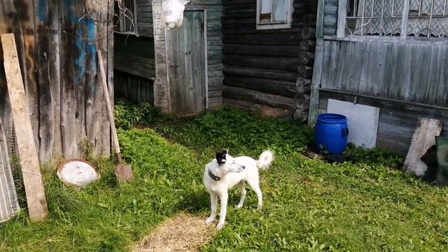 Урааа... Жена приехала!!! смотреть онлайн
