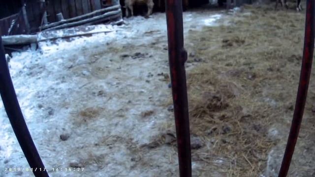 Без ретуши 2 часть, реальные буди ЛПХ смотреть онлайн