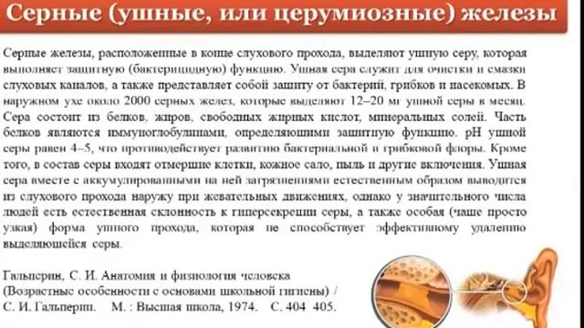 Покровная и мочевыделительная/выделительная системы. СдетьЕГЭлегко. Баштанник Н.Е. смотреть онлайн