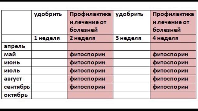 ОБ УДОБРЕНИЯХ ДЛЯ НАЧИНАЮЩИХ. ЧТО? КОГДА? и КАК? смотреть онлайн