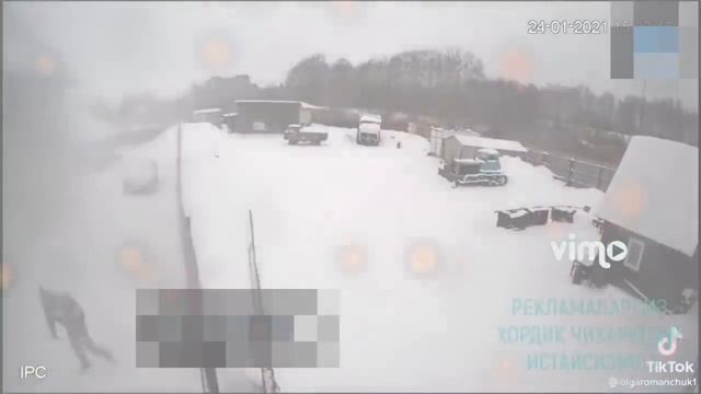 ДАХШАТ! БУНИ КУРГАНЛАР ШОКДА! КУРИНГ!! смотреть онлайн