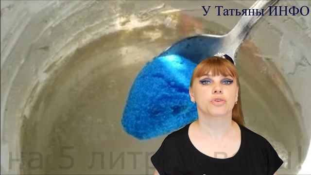 100% СРЕДСТВО от ФИТОФТОРЫ на ПОМИДОРАХ!!! смотреть онлайн